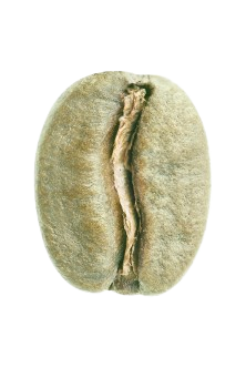 photo of a flipped paper cup